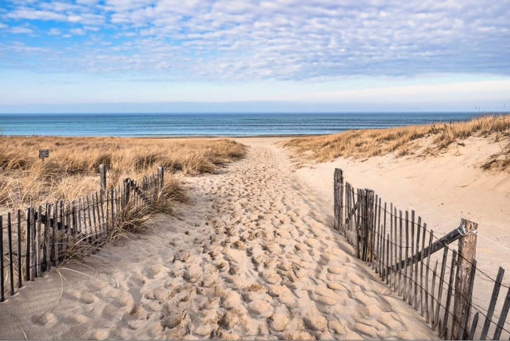 beach with ocean and blue sky