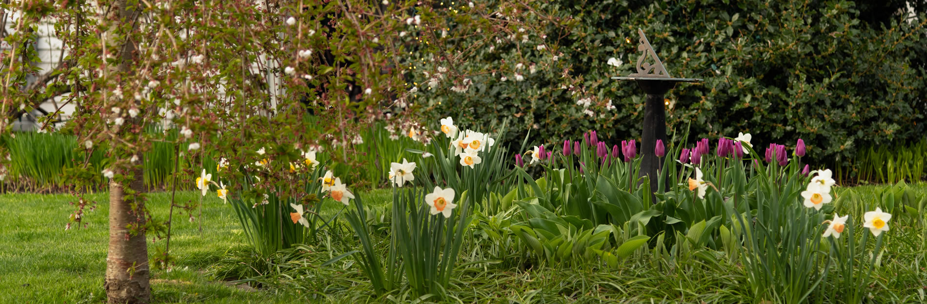 candleberry inn gardens