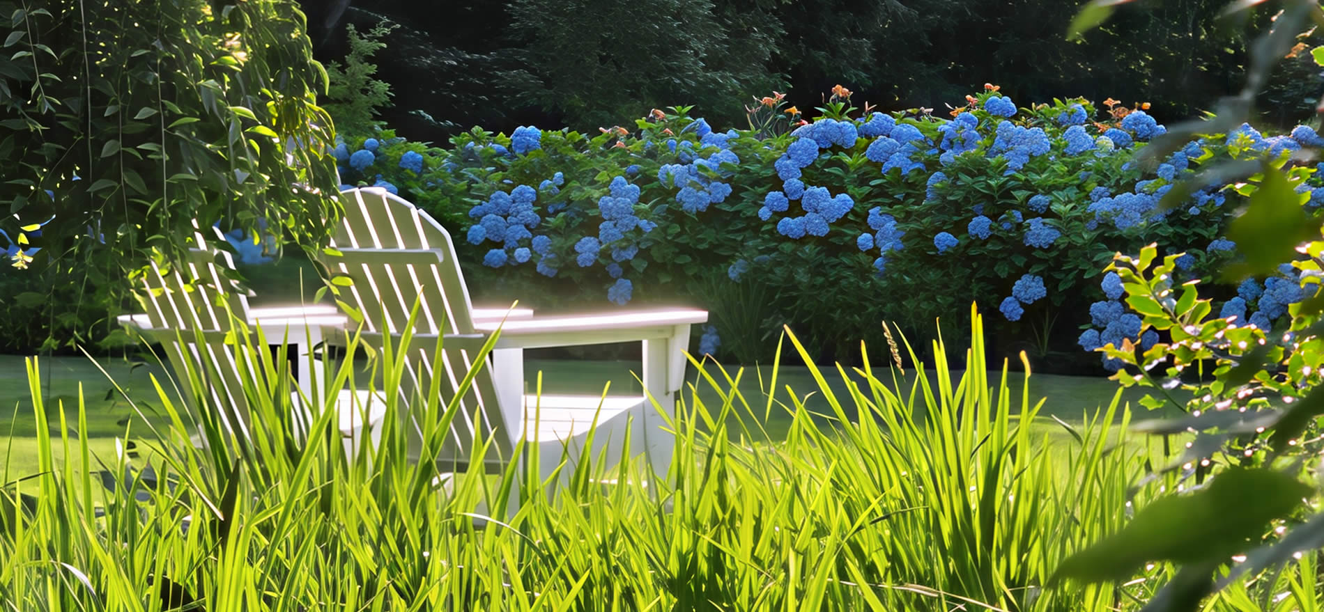 hydrangeas candleberry inn cape cod