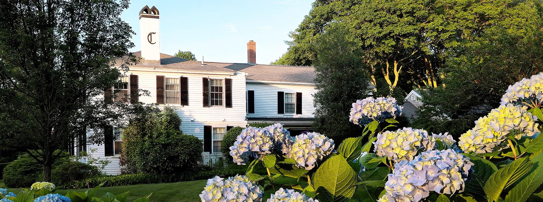 candleberry inn hydrangeas in foreground